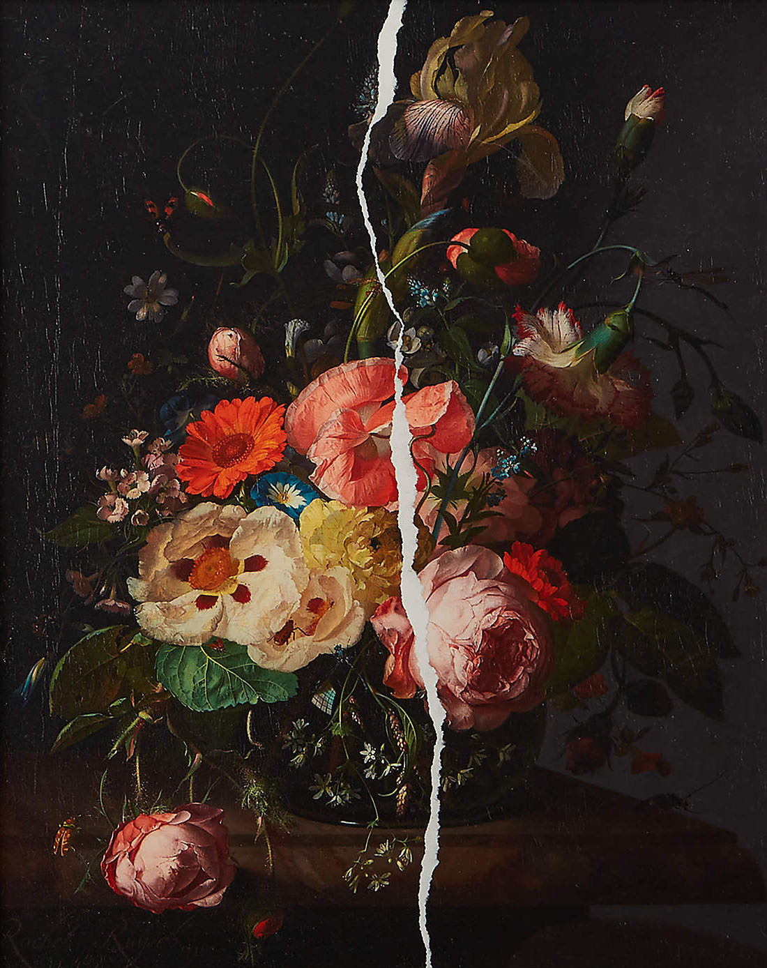 Flowers With White Crack, Large Contemporary Wall Art #BGA 043